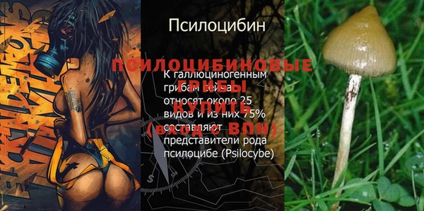 экстази Балахна