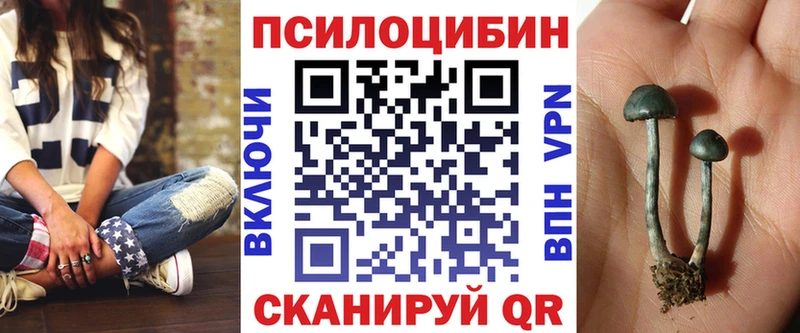 Псилоцибиновые грибы Psilocybe  kraken вход  сайты даркнета как зайти  Конаково 